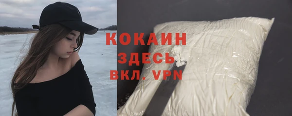 мяу мяу мука Белокуриха