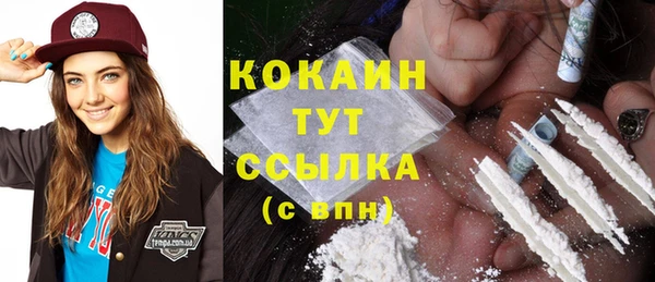 гидра Белоозёрский