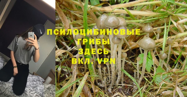 ECSTASY Беломорск
