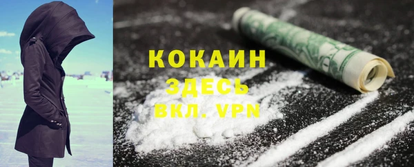 мяу мяу мука Белокуриха